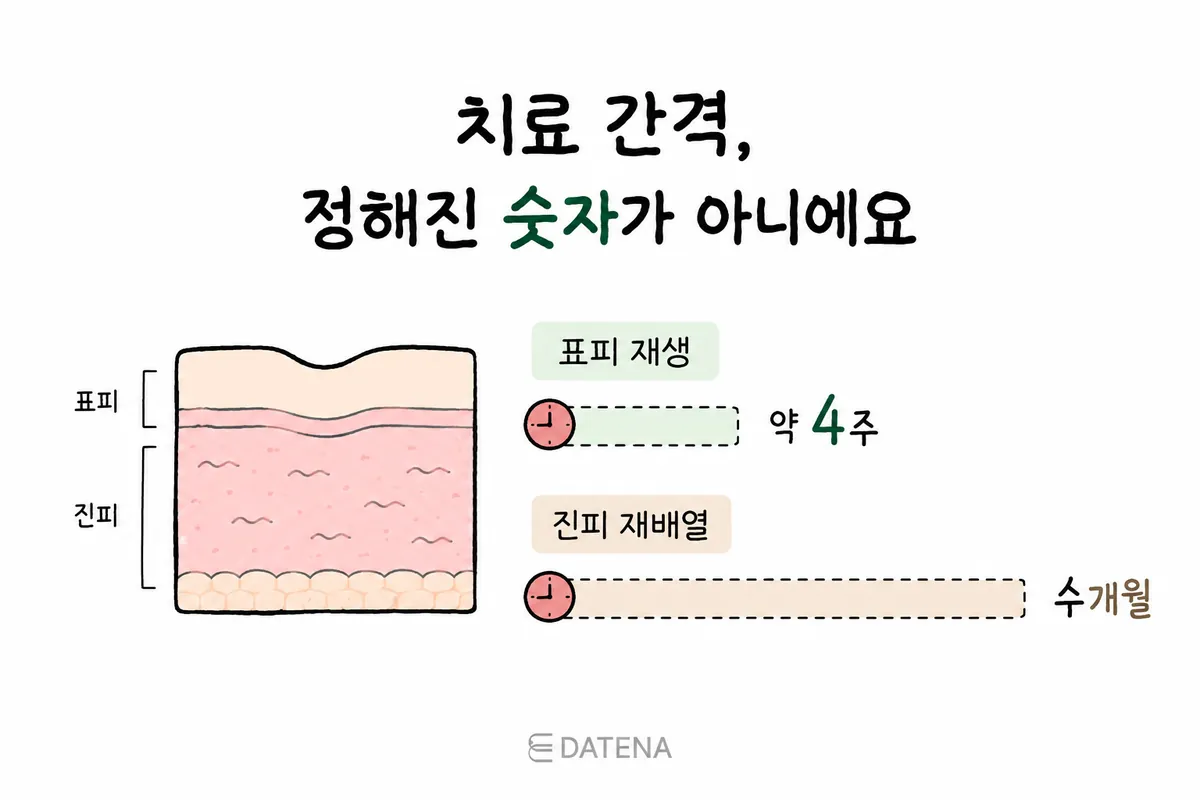 Illustration comparing about 4 weeks of epidermal renewal with several months of dermal collagen remodeling